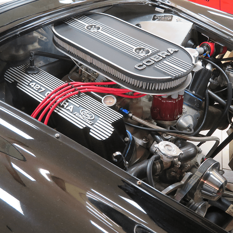 cobra